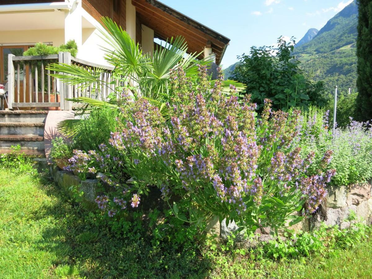 Apartmán Feldererhof Postal / Burgstall Exteriér fotografie
